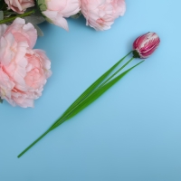 Кондитерское изделие "Тюльпан" в конверте, 20 г