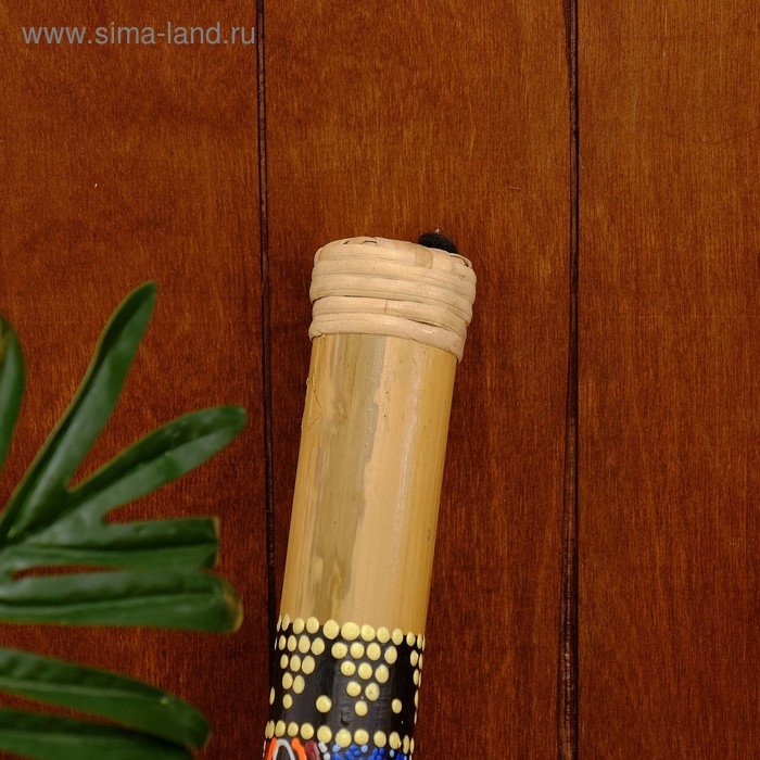 Сувенирный музыкальный инструмент "Посох дождя" 40 см МИКС