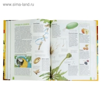 Большая энциклопедия школьника &laquo;Как это работает?&raquo;