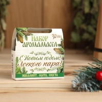 Набор эфирных масел 3 шт по 10 мл "С Новым годом! С легким паром!", эвкалипт, мята, пихта Набор эфирных масел 3 шт по 10 мл "С Новым годом! С легким паром!", эвкалипт, мята, пихта