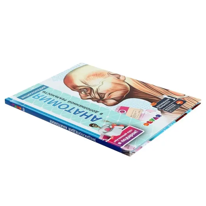 Энциклопедия 4D в дополненной реальности &laquo;Анатомия&raquo;