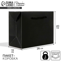 Пакет&mdash;коробка &laquo;Чёрный&raquo;, 28&times;20&times;13 см