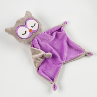 Набор подарочный: Комфортер 27 см + плед 71х125 см, &laquo;Сова&raquo;