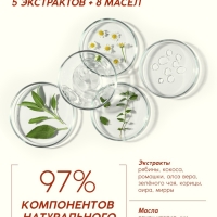 Шампунь для волос, молодость и объем, аромат рябины, 250 мл, Рябина