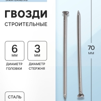 Гвозди ТУНДРА, строительные, ГОСТ 4028-63, без покрытия, 3&times;70 мм, 5 кг