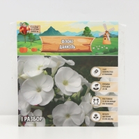 Флокс &laquo;Даниэль&raquo; корневище в пакете с торфогрунтом, р-р I, 2 шт.