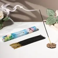 Благовония "Формула успеха", 20 палочек в упаковке, шестигранник