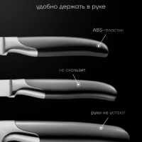 Набор кухонных ножей с ножеточкой Graphit-4SS 4 предмета