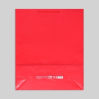 Пакет подарочный ламинированный, упаковка, &laquo;Красный&raquo;, 40 х 49 х 15 см