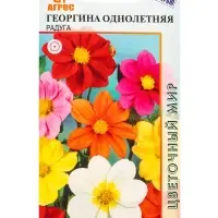 Семена Георгина Радуга 0,2 г