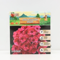 Флокс метельчтый Windsor корневище в пакете с торфогрунтом, р-р II, 2 шт.