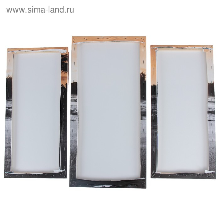 Модульная картина "Романтика"  (2-25х52; 1-30х60) 60х80 см