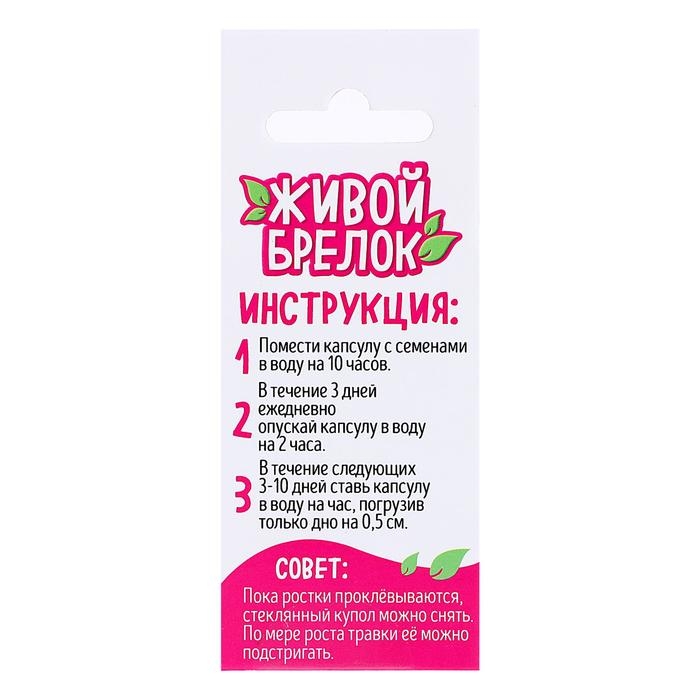 Набор для опытов &laquo;Живой брелок&raquo;, мини-сад, вырасти сама