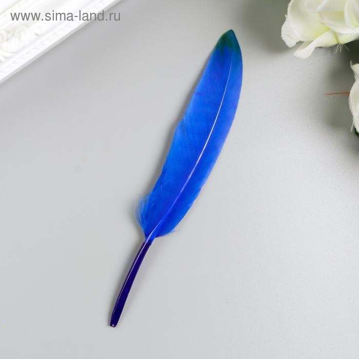 Перья декоративные прямые, 10-15 см (набор 24 шт) 6 цветов, двухцветные, ассорти Перья декоративные прямые, 10-15 см (набор 24 шт) 6 цветов, двухцветные, ассорти