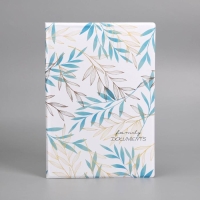 Папка для семейных документов &laquo;Docs&raquo;, 8 файлов А4