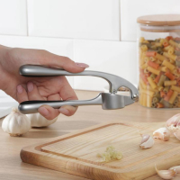 Пресс для чеснока Доляна &laquo;Идея&raquo;, 16,5 см