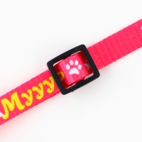 Ошейник для кошек с фастексом &laquo;Glaмур&raquo;, 30 х 1 см