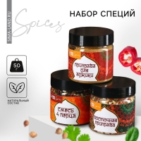 Набор специй &laquo;Новые грани вкуса&raquo;: смесь 4 перца, приправа для аджики, восточная приправа, 300 г (3 шт. х 100 г).
