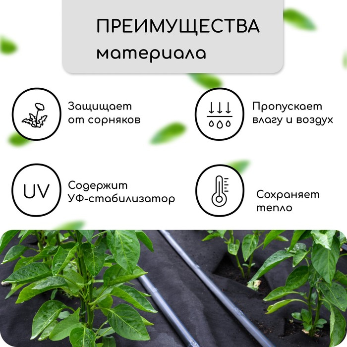 Материал мульчирующий, с перфорацией, 10 &times; 1,6 м, плотность 80 г/м&sup2;, спанбонд с УФ-стабилизатором, чёрный, Greengo, Эконом 30%