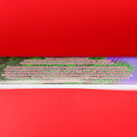 Шоколадный набор конфет "Новогодний презент", 230 г