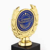 Кубок &laquo;Лучший руководитель&raquo; наградная фигура, пластик, 13 х 8 х 5 см.