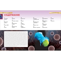 Детская энциклопедия &laquo;Тело человека&raquo;