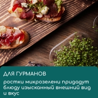 Коврик из кокосового волокна, для выращивания микрозелени, 50 &times; 25 см, Greengo