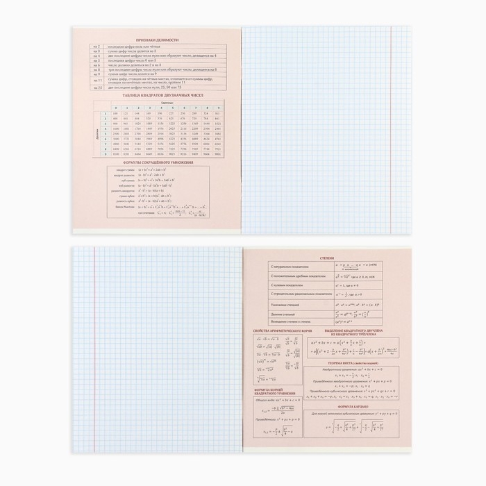 Тетрадь предметная А5, 48 л на скрепке &laquo;1 сентября: Аниме.Алгебра&raquo; ВД лак