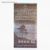 Сироп &laquo;Дыхание. Сосновый мёд&raquo;, 250 мл