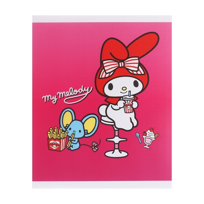 Тетрадь 48 листов в клетку Kuromi+MyMelody+HK, обложка картон, в дополнительной ПВХ обложке, блок 60 г/м2, МИКС