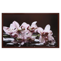 Картина "Цветы на камнях" 67х107 см рамка микс