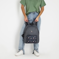 Рюкзак школьный текстильный &laquo;Утки&raquo;, с карманом, цвет серый