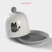 Лимонница Доляна &laquo;Уютные коты&raquo;, 9&times;9 см