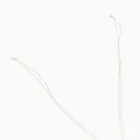 Браслет на ногу, анклет, длина 20 см, белый