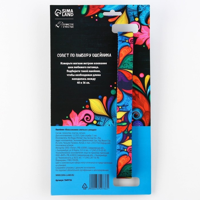 Ошейник &laquo;Невозможно слиться с улицей&raquo;, застёжка - фастекс, 2.5 см, 40-55 см