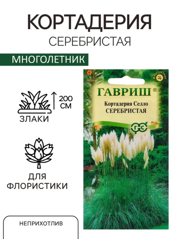 Семена Кортадерия Серебристая "Пампасная трава", ц/п,  0,01 гр.