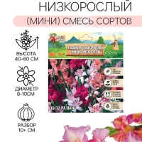 Гладиолус Низкорослый (мини) смесь сортов, луковица цветов в пакете с перфорацией, р-р 10/+ , 7 шт.