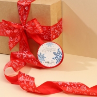 Лента атласная &laquo;Новогодние игрушки&raquo;, , 4 см &times; 5 метров