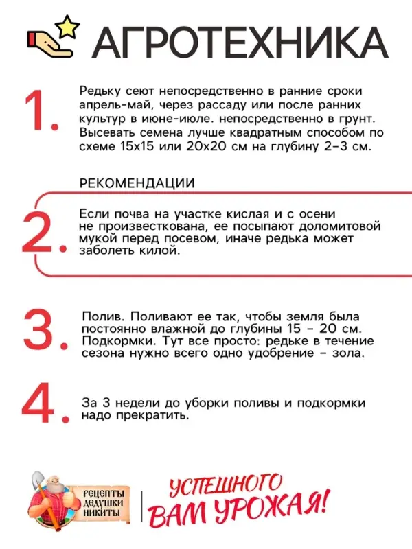 Семена Редька Семена Редька "Зимняя круглая чёрная", среднеспелая, 1 г