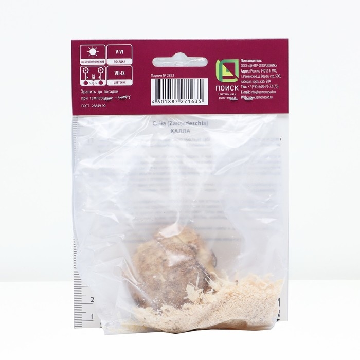 Калла белопятнистая, р-р 14/16, 1 шт, Весна 2025