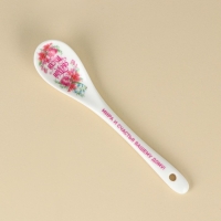 Ложка сувенирная &laquo;Светлой Пасхи&raquo;, 2,5 х 13 см.