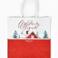 Набор пакетов крафтовых &laquo;Новогодний&raquo;, 10 шт, 22 &times; 22 &times; 11 см