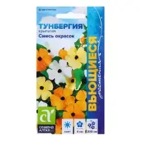 Семена Тунбергия "Смесь окрасок", ц/п,  0,2гр.