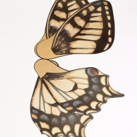 Бумага фигурная для букетов &laquo;Крылья бабочки&raquo;, желто-чёрный, 50&times;56 см, набор 10 шт.