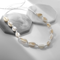 Бусы &laquo;Морские&raquo; из ракушек, цвет белый, 90см