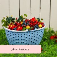 Ёмкость для сбора урожая &laquo;Лукошко&raquo;, цвет МИКС