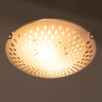 Светильник настенно-потолочный "Вояж" 2 лампы E27 40Вт д.300 h.5,5 см. Светильник настенно-потолочный "Вояж" 2 лампы E27 40Вт д.300 h.5,5 см.