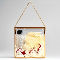 Новогодний подарочный набор косметики «Новогодний переполох» для душа и ванны, золотая серия Новогодний подарочный набор косметики «Новогодний переполох» для душа и ванны, золотая серия