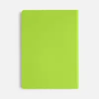 Ежедневник Flex Shall New, недатированный, светло-зеленый