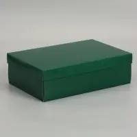 Коробка складная &laquo;Армейский зелёный&raquo;, 30 х 20 х 9 см
